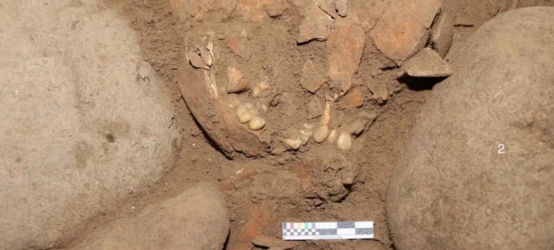 丹尼索瓦人化石,丹尼索瓦人南方古猿人