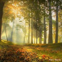 人生如戏怎样演戏,人生如演戏自己也能演