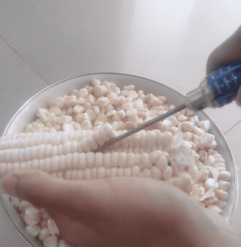 一斤玉米带皮能剥多少玉米粒,水果玉米怎么剥成玉米粒