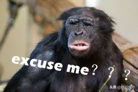 今天你“么么哒”了吗？从医学角度告诉你人类为什么要“亲吻”