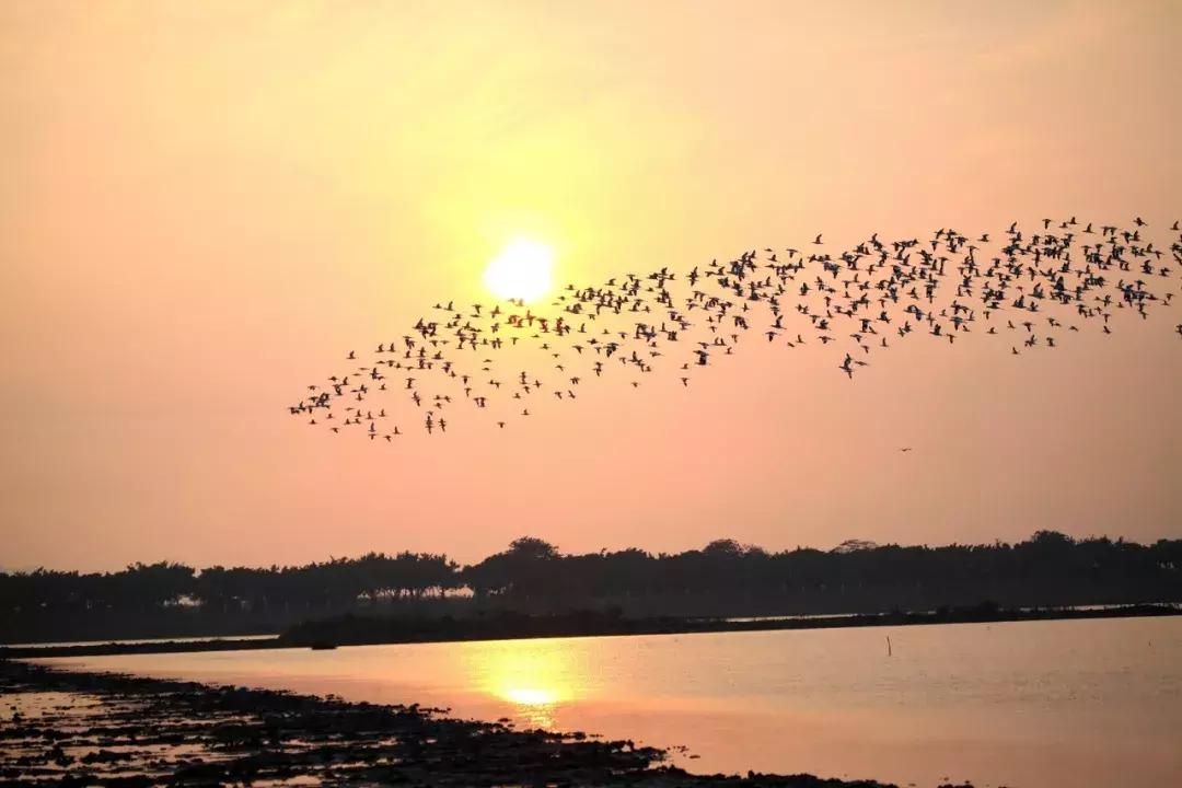 广州国庆旅游攻略大全图,广州最全景点攻略