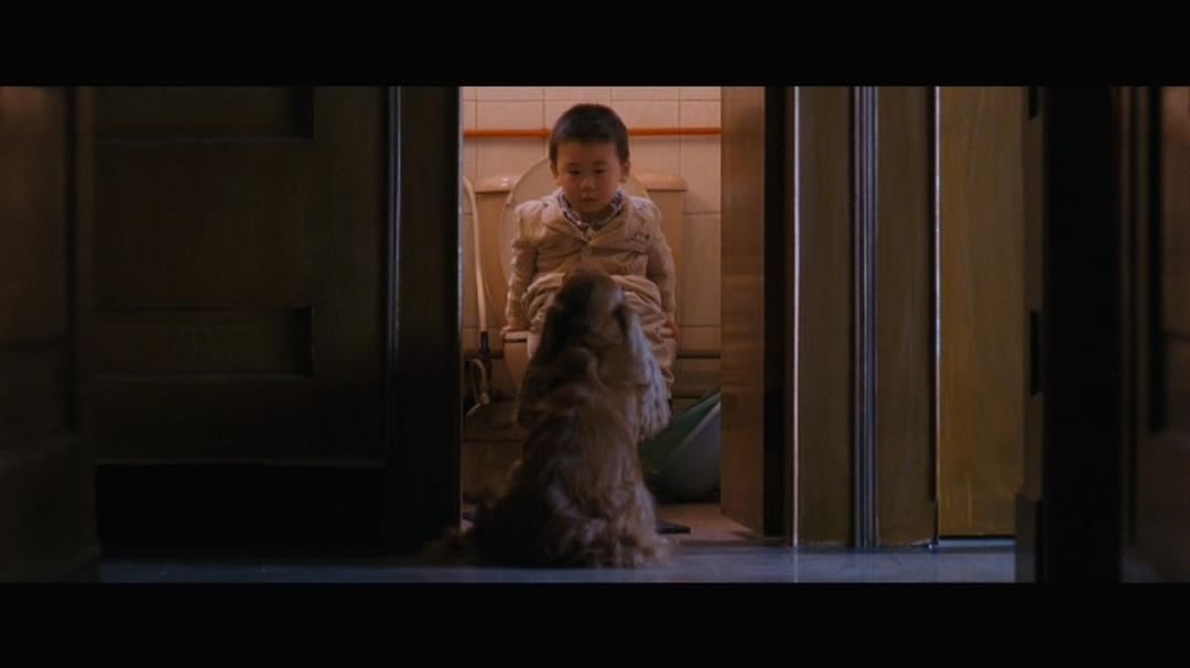 狗十三说脏话,狗十三到底有多可怕