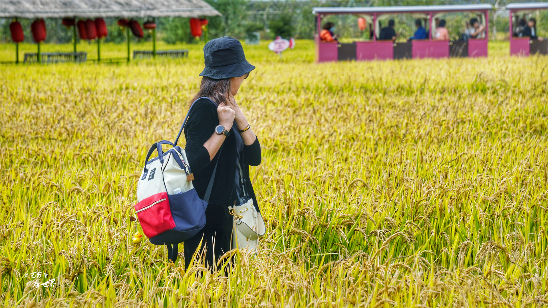 沈阳稻梦空间在哪个位置,沈阳市稻梦空间门票