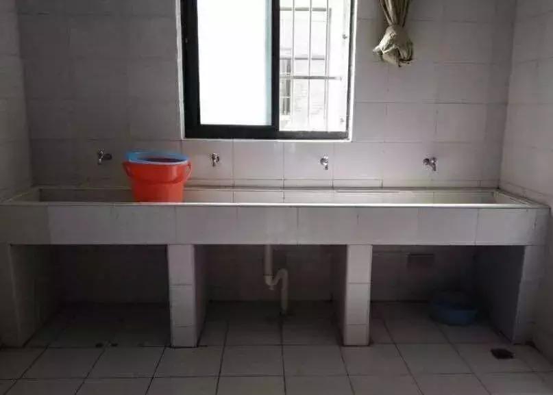 老灵额是什么,上海海洋大学参观攻略