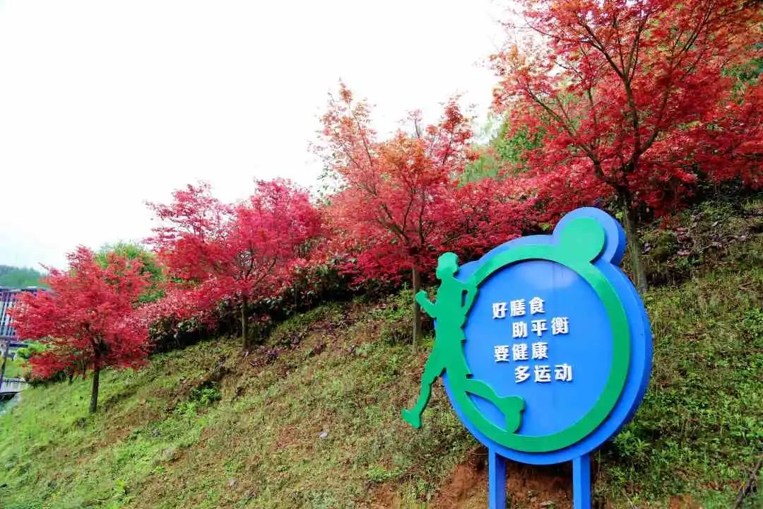 南平松溪风景区,松溪县美丽的山城