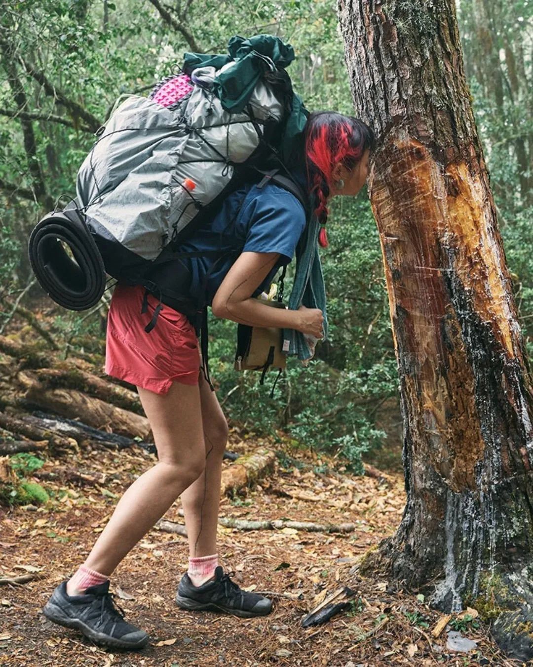 pick好物推荐,pick最好的单品