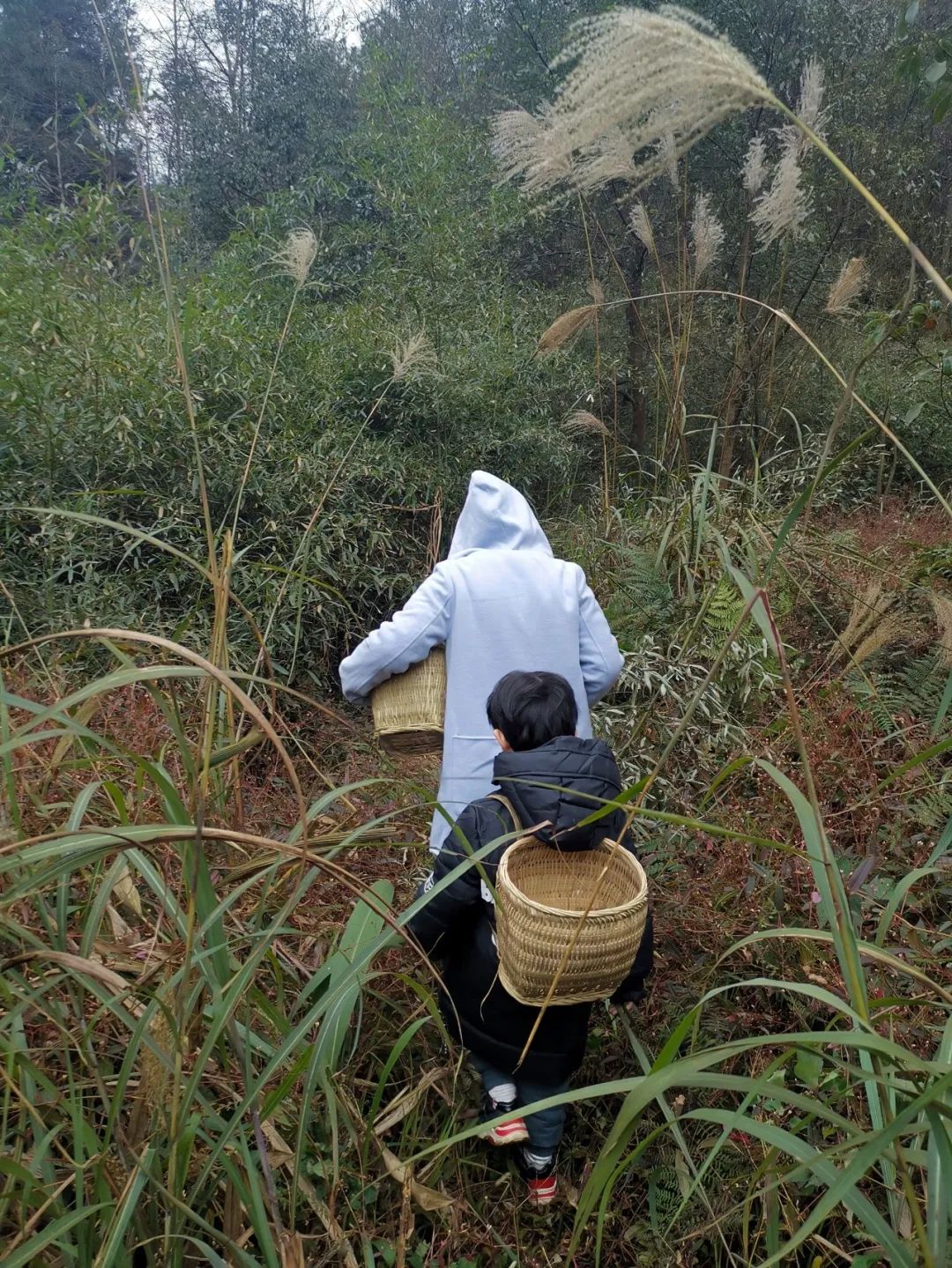 疫情解封后报复性消费的行业,疫情之后会出现消费狂潮么