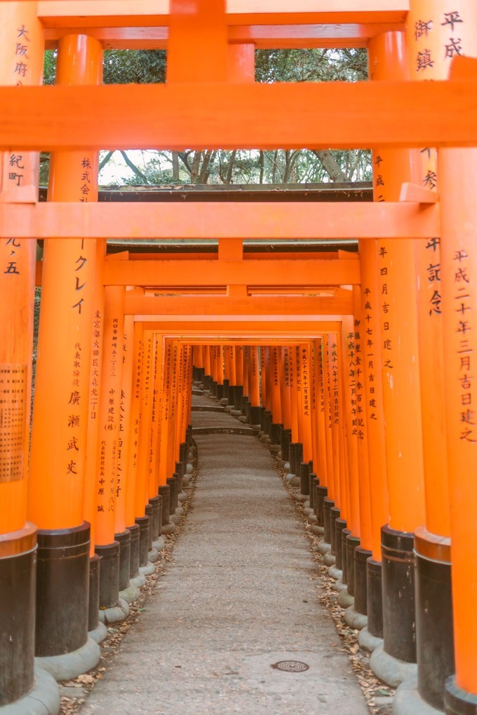 伏见稻荷大社怎么去清水寺,伏见稻荷大社到清水寺远吗