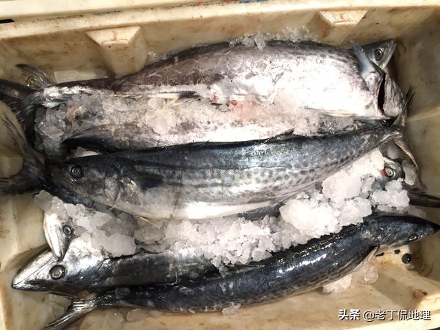 中国海鲜地图,中国海鲜最多地区