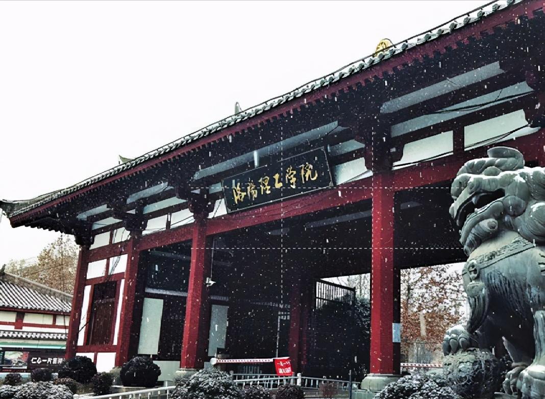 洛阳理工南阳师范哪个好,南阳河南理工大学区别