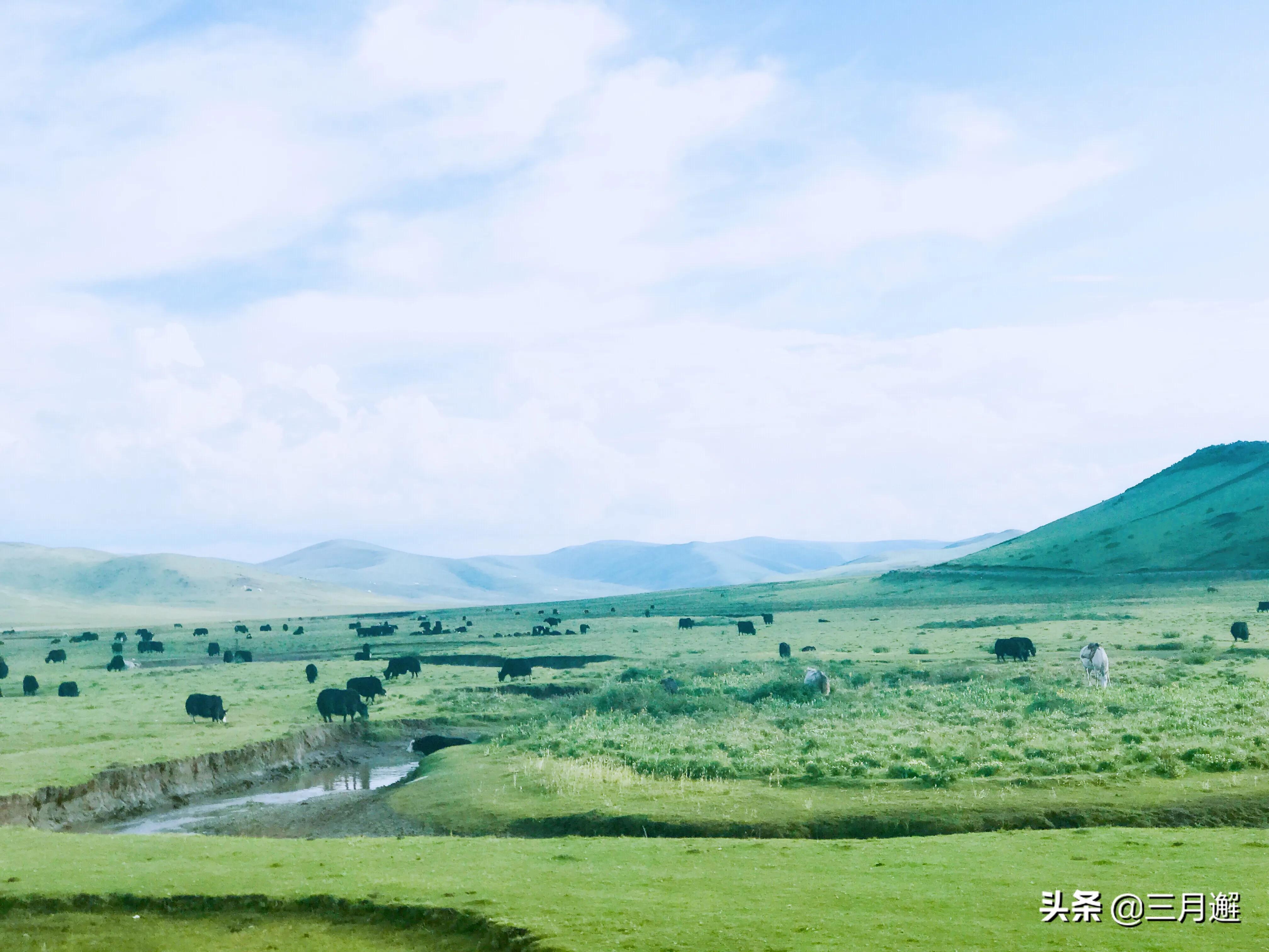 下雨天的若尔盖能去吗,阴雨天的若尔盖花湖