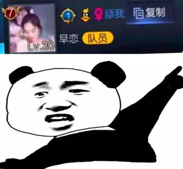 王者荣耀各职业选手id,王者荣耀各个段位id