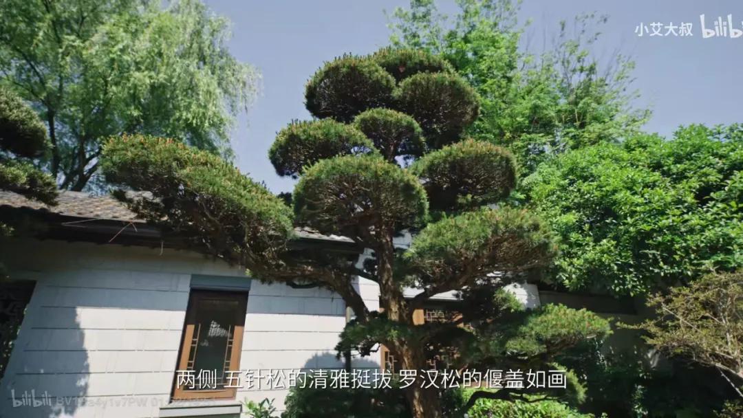 80%人对中式审美没信心？50岁大叔却花20年造园子，年轻人都喜欢