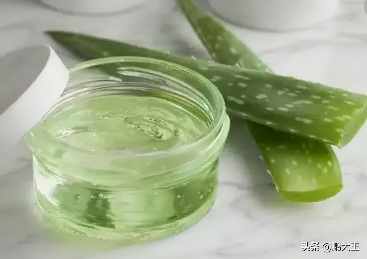 室内养绿萝怎么才能养得巨大,小绿萝长成大瀑布