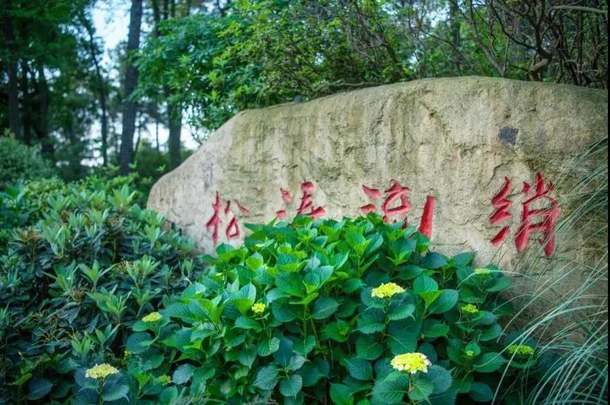 美美美！余杭七大花海组团来袭，遍地繁花好似人间仙境