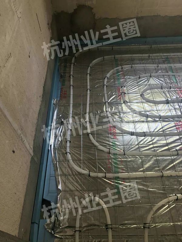 绿都什么意思,绿都包括哪些绿