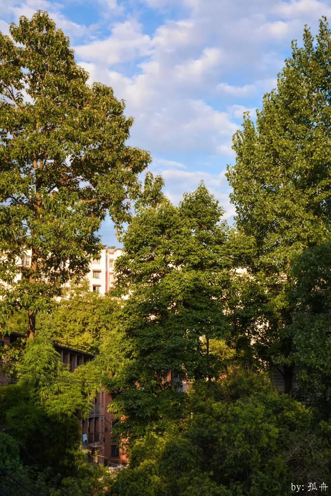 三线记忆大邑,三线记忆湖南