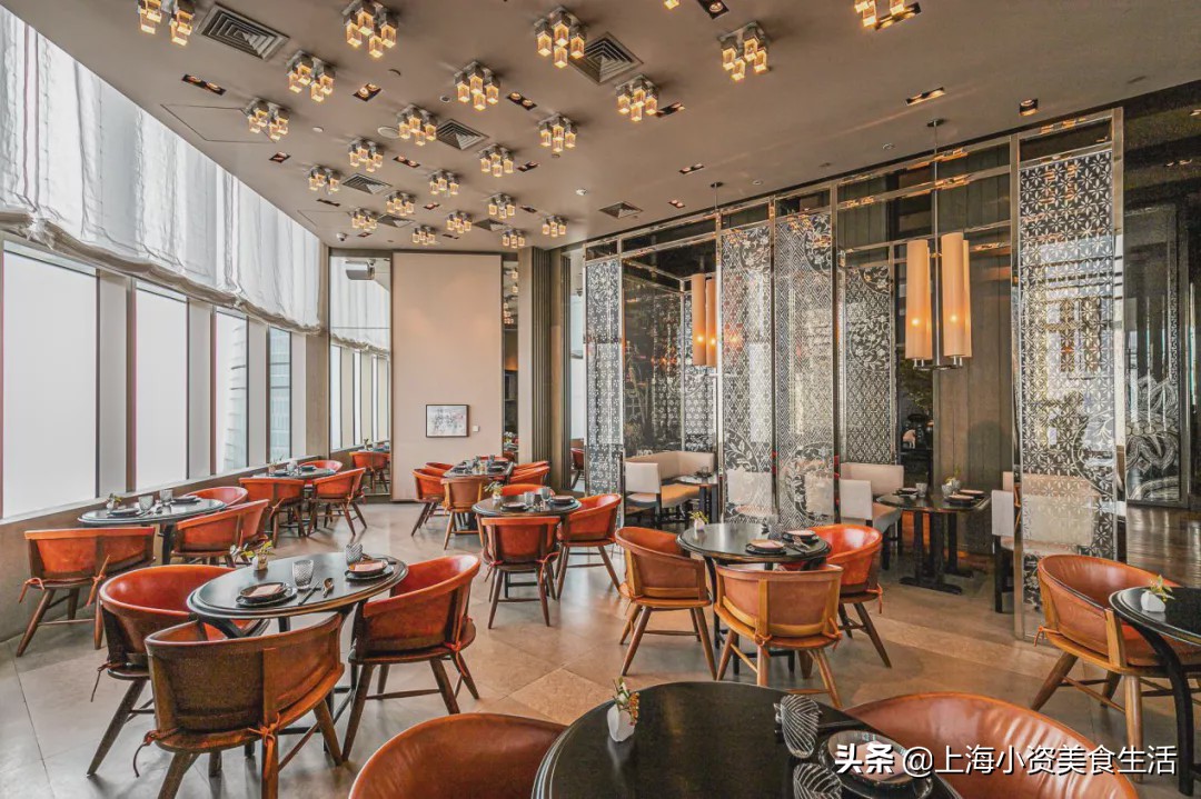 魔都薅羊毛日记,2022魔都高段位薅羊毛指南