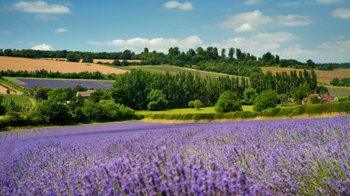 英国有多少所公学,英国十大顶级公办公学