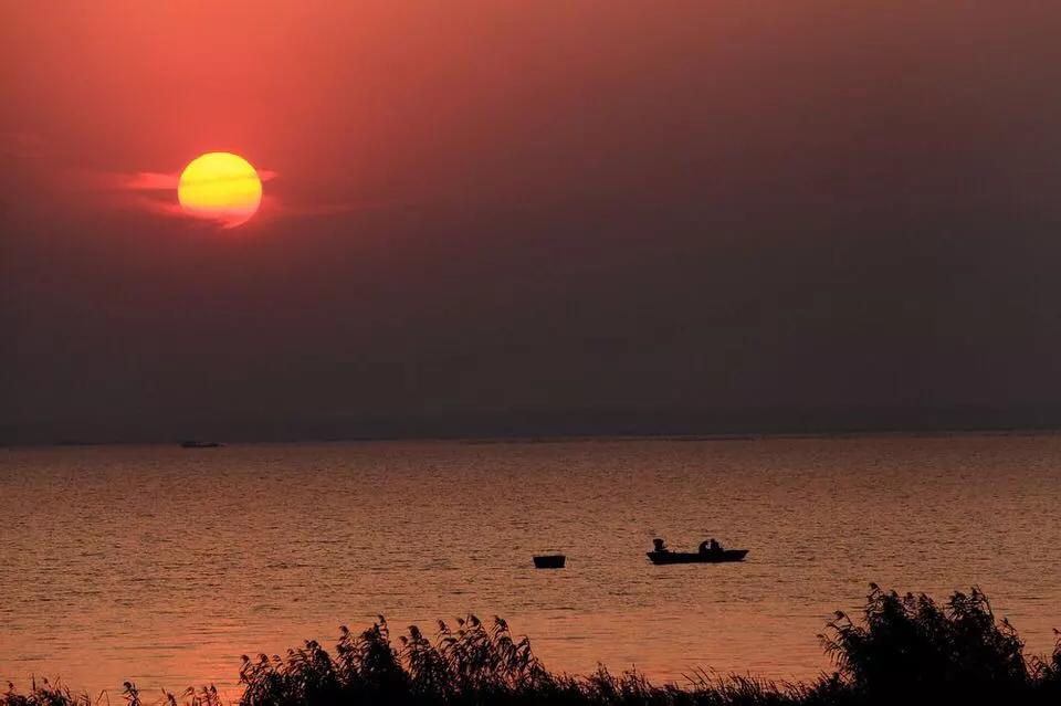 合肥最美的春天景点,合肥春天有哪些好玩的景点