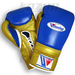 拳击品牌排行前十有哪些,拳击品牌介绍