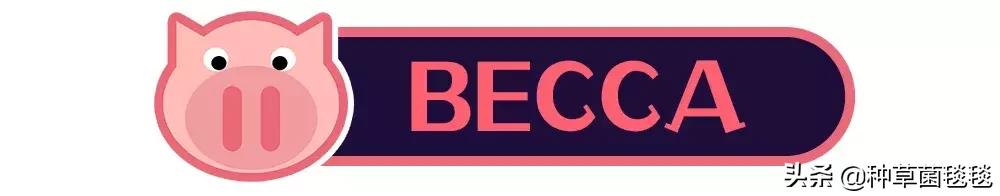 25块买啥,25块买什么东西