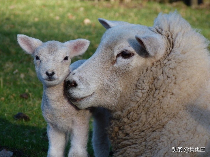 生物学的惊天大秘密,你不可不知的五十个生物学知识