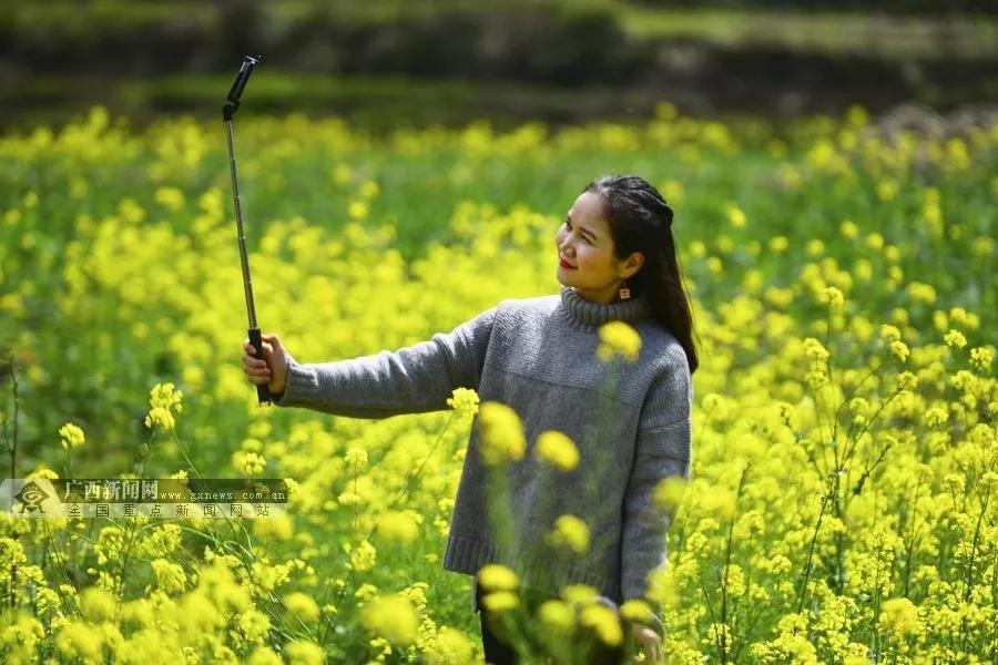 为什么广西的网多,广西什么网络信号好
