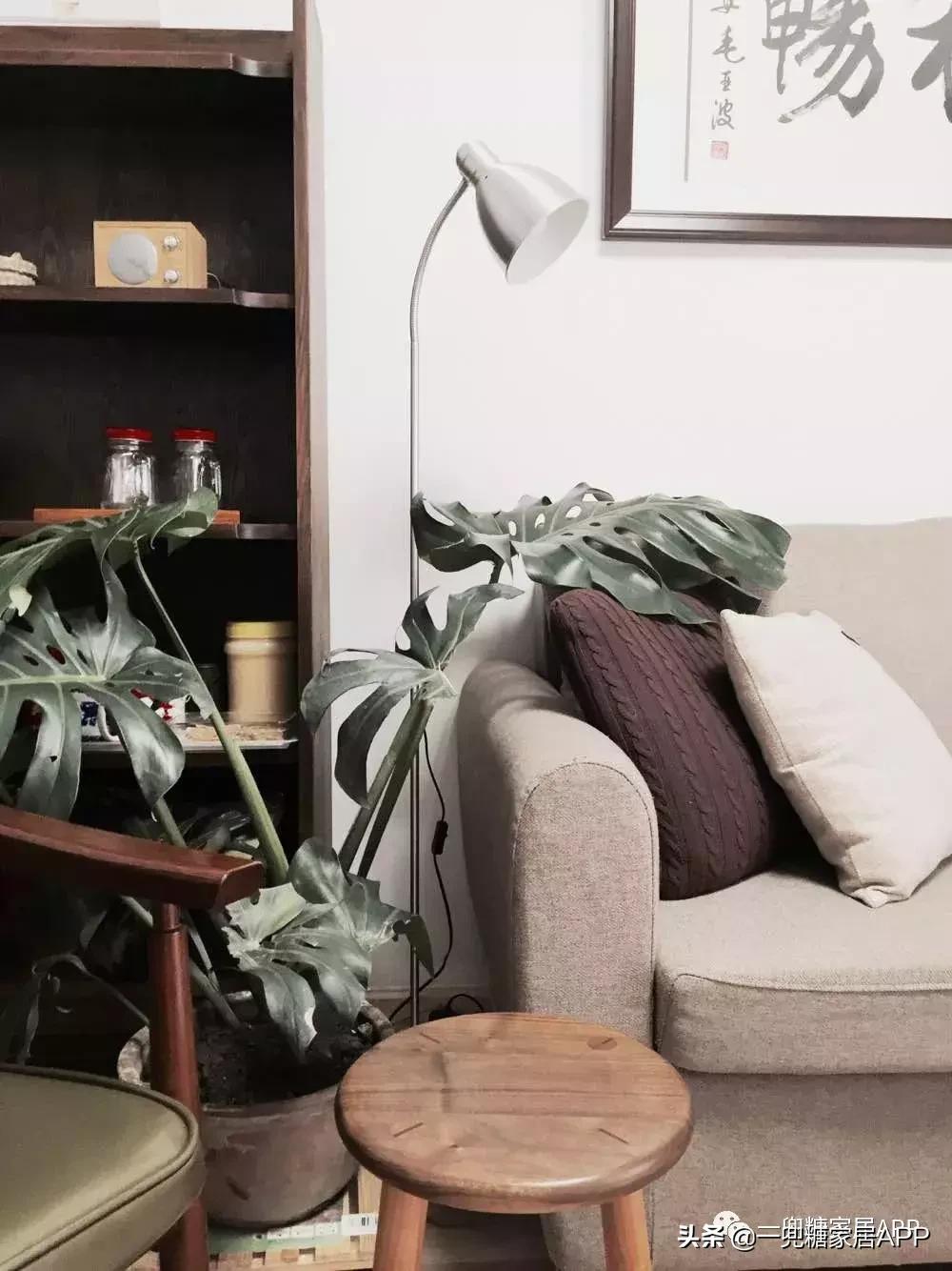 闭眼买的灯具,闭眼买不出错的车