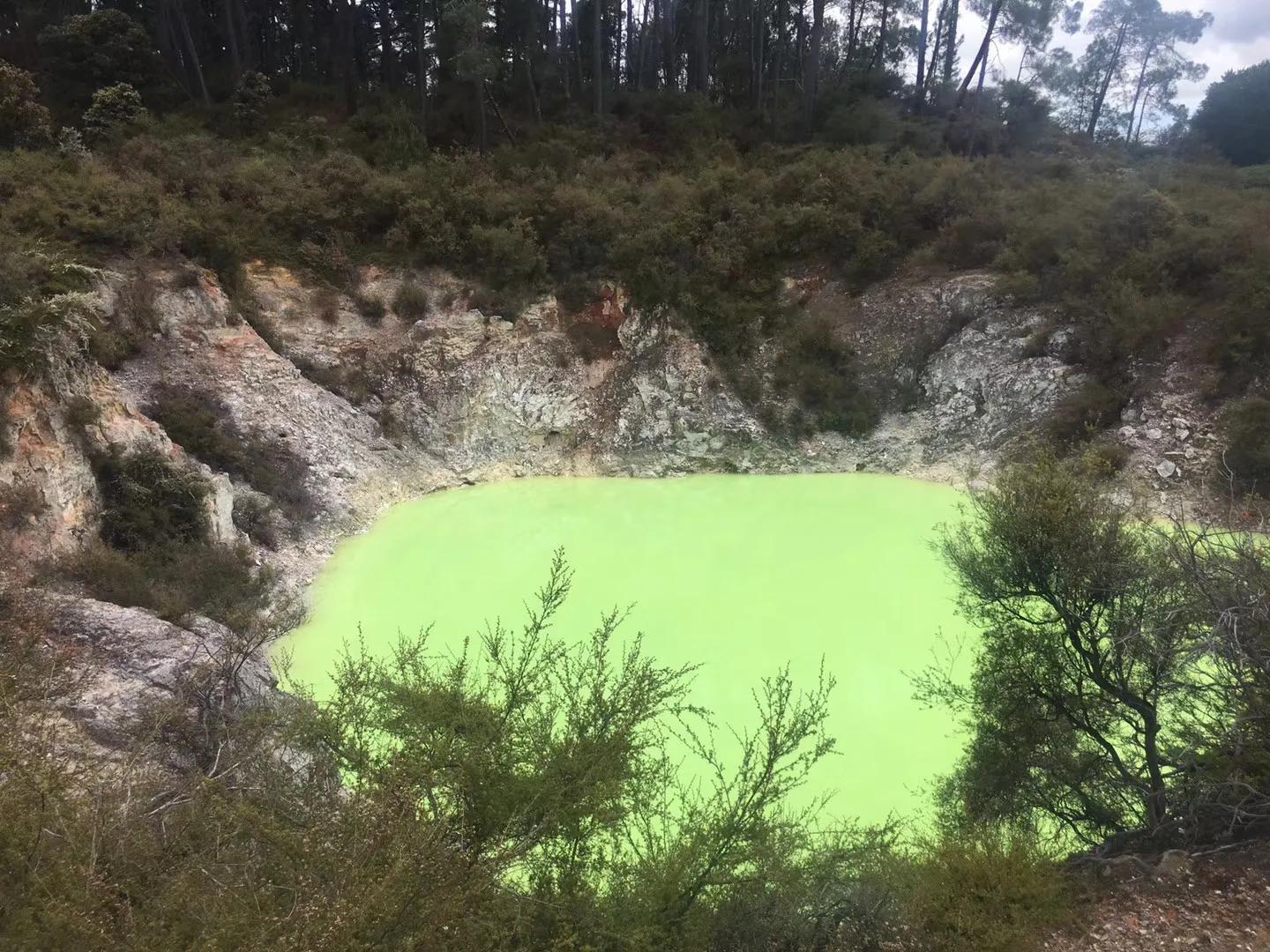 记忆中的旅行之新西兰(北岛)