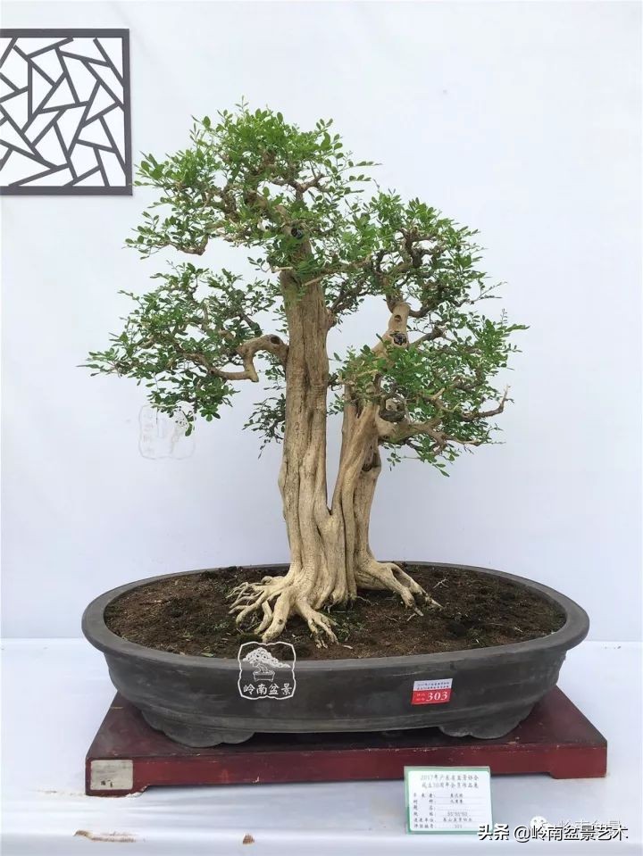 骞哥涔呬箙鐢滅敎铚滆湝,骞哥涔呬箙