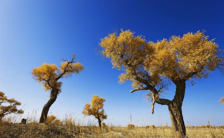 教改20年,三线以下城乡素质教育的问题和希望(原创