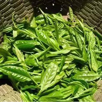 青岛西海岸30多项特产!这鱼还登上央视成了网红