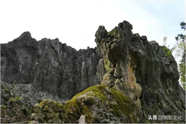 张家界慈利新项目,张家界慈利江垭的新项目