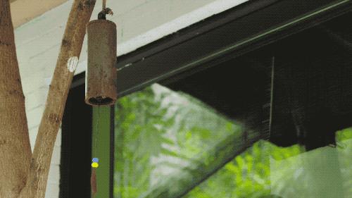 巴慕达风扇扇叶,巴慕达中国版多少钱