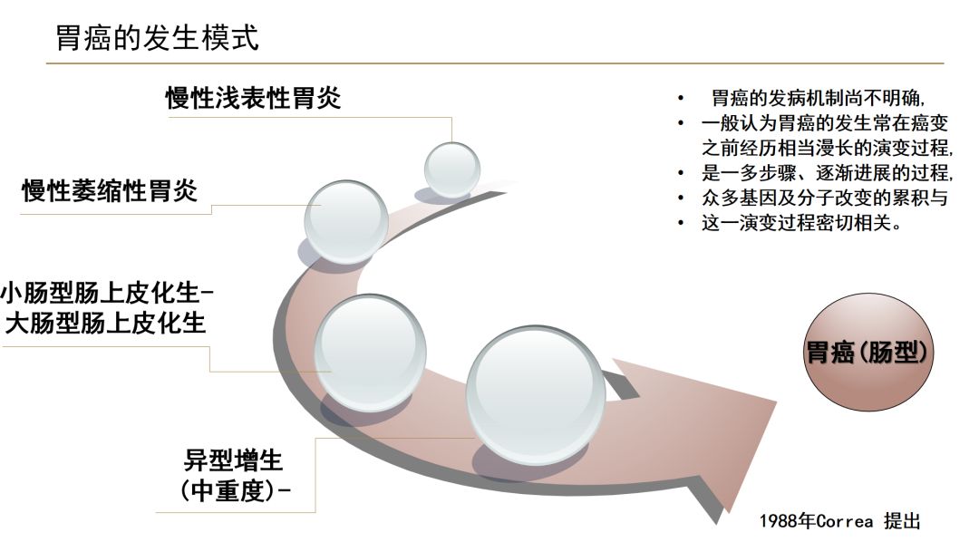 得胃癌之前有什么症状,得胃癌前是不是先长息肉