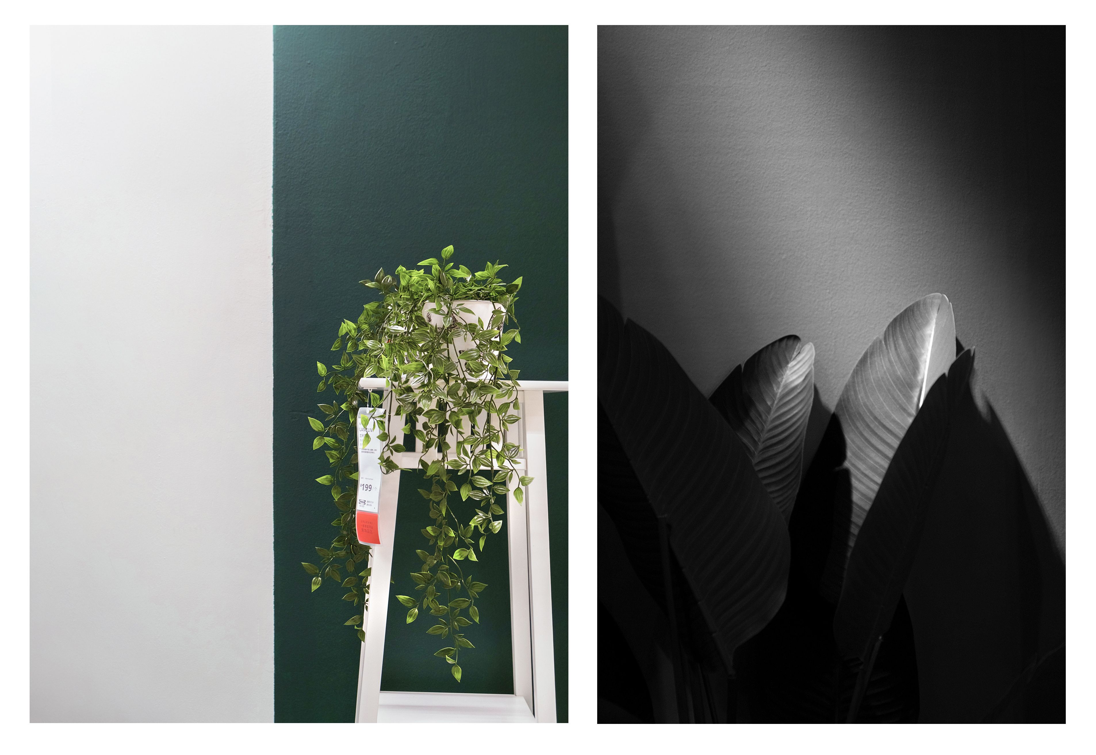 2020入门相机,2020年的相机图片