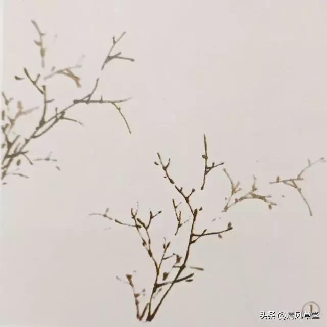 少儿国画花卉画法视频,各种花卉的100种画法