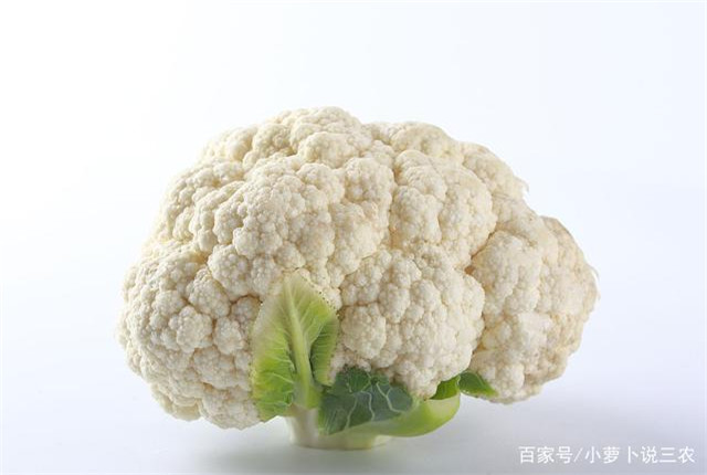 花椰菜种植技术大全,花椰菜种植时间和注意事项