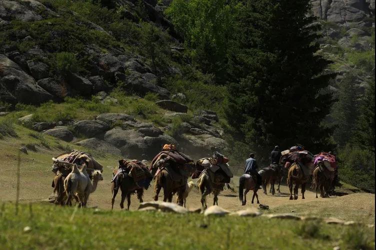 迁徙的家园，马背上的诗