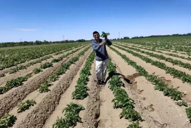 抗灾减损保丰收,抗旱保苗确保秋粮丰产