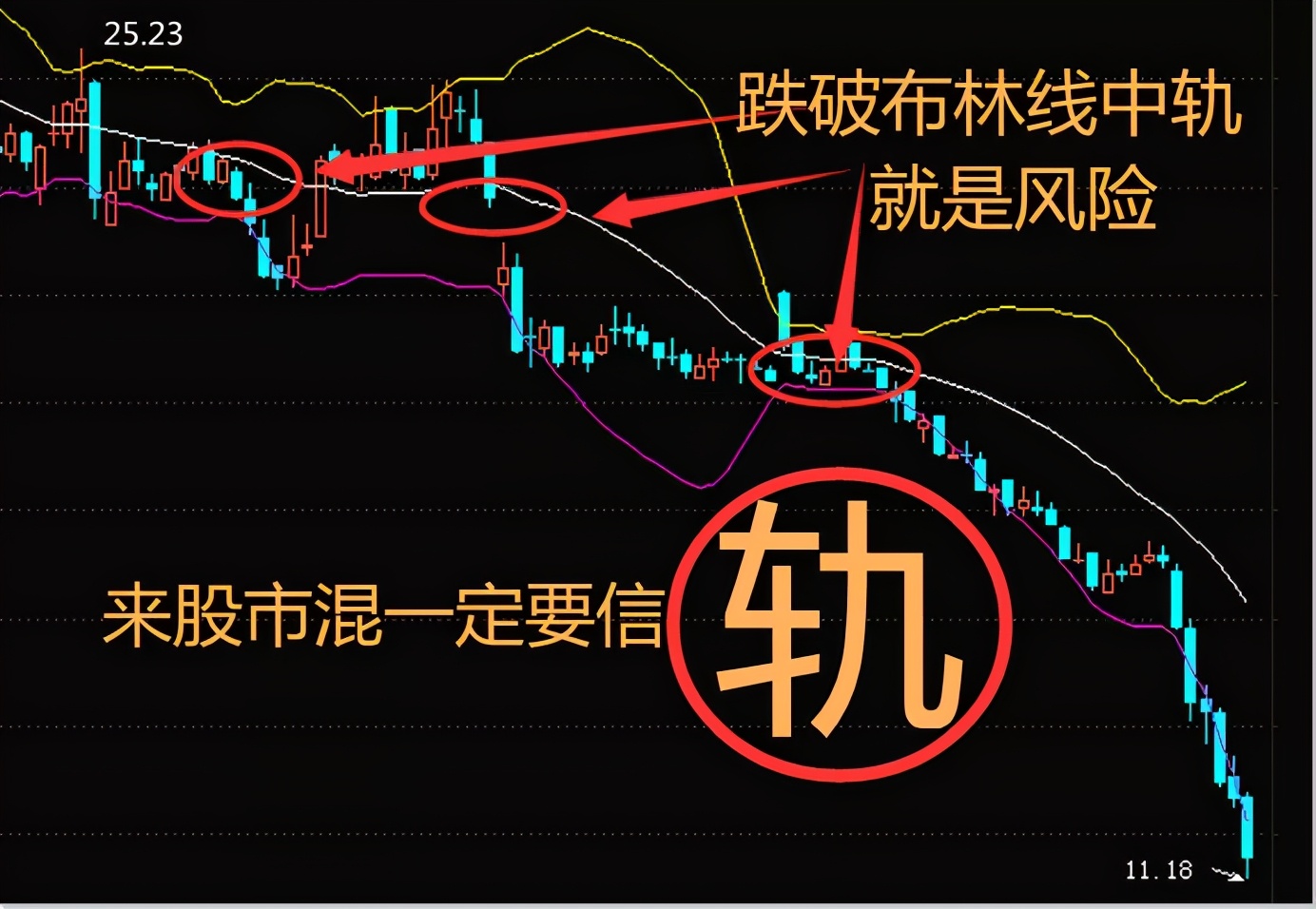 周末微学堂三伏天,周六股市基础理论学习