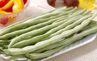 豆角种植多长时间结豆角,豆角几天出苗用大葱种植豆角