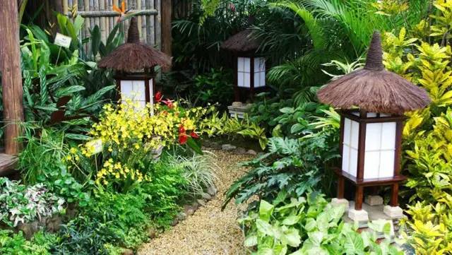 庭院设计用什么植物,庭院植物设计搭配详解