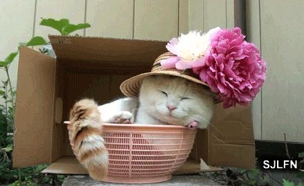 一到傍晚奶就少怎么办,一到晚上奶就不够吃怎么办