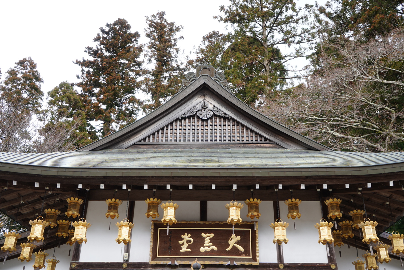 2019日本赏樱最新攻略|大津小众路线私家推荐