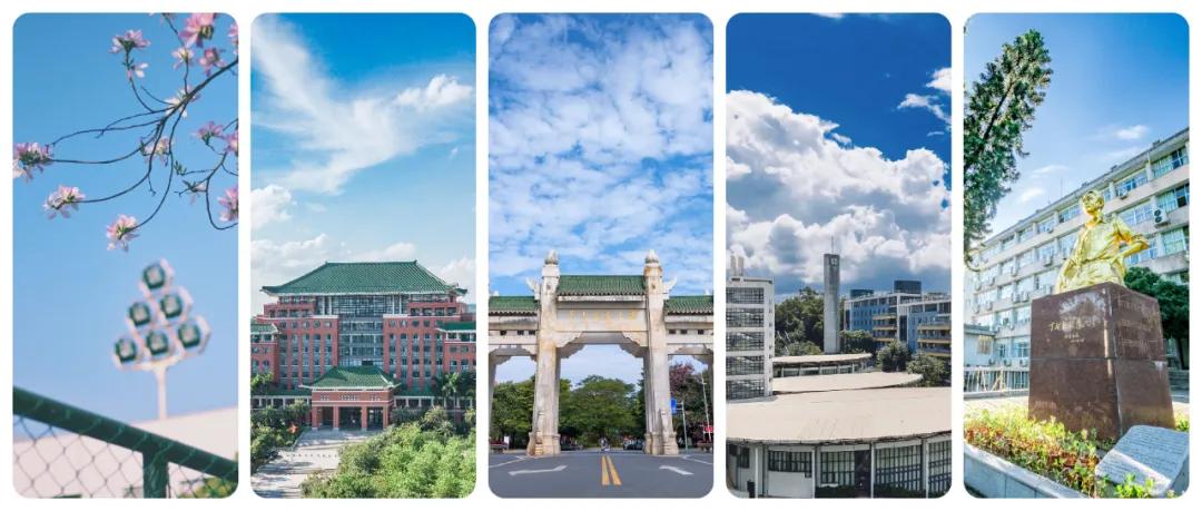 报考华南农业大学,华农报录比