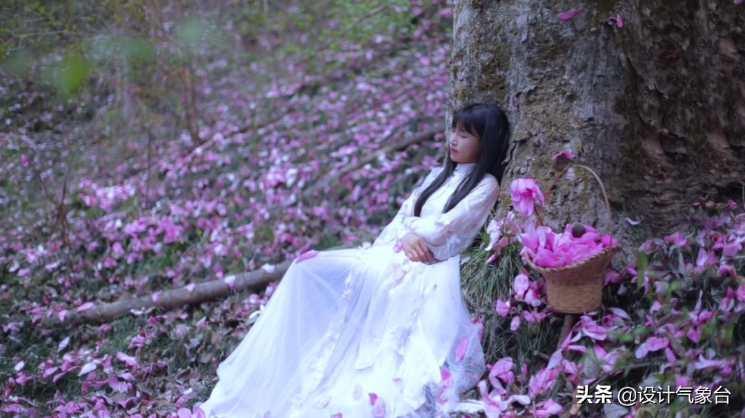 李子柒生活大揭秘,多少人羡慕李子柒的生活