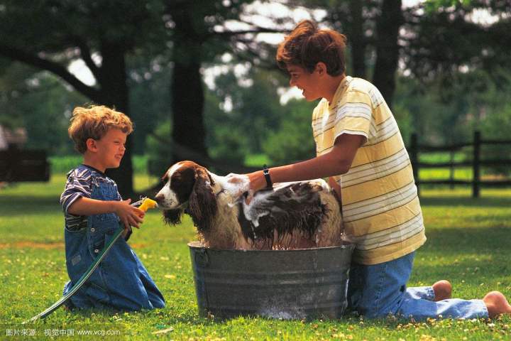 狗狗在家洗澡步骤全过程,一个月的狗狗可以在家洗澡吗