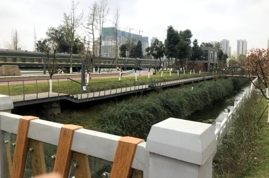 成华头条杉板桥,成华头条正能量